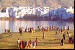 pushkar India festival tours