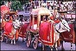 India desert festivals